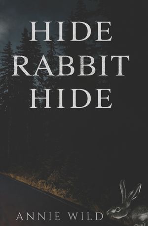 Hide Rabbit Hide: A Dark Suspenseful Romance image number 0