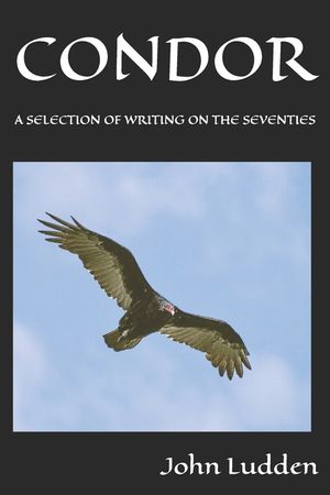 Condor: A Selection of Writing on the Seventies image number 0
