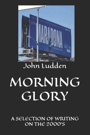 Morning Glory: A Selection of Writing on the 2000's image number 0