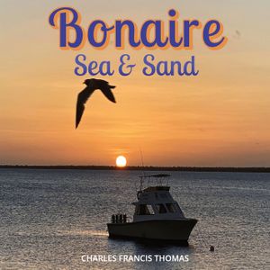 Bonaire Sea & Sand image number 0