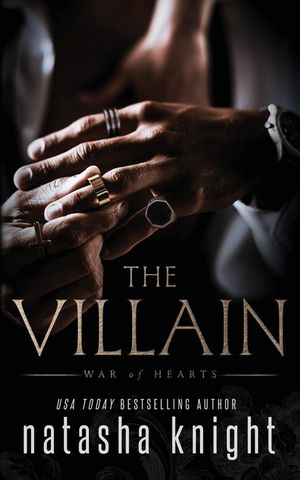The Villain image number 0