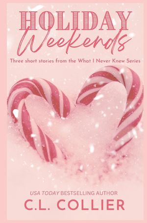 Holiday Weekends: Three Short Stories from the What I Never Knew Series image number 0