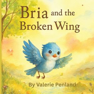Bria and the Broken Wing image number 0