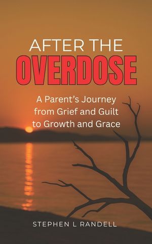 After The Overdose: A Parent's Journey From Grief and Guilt To Growth and Grace image number 0