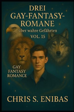 Drei Gay Fantasy Romane &uuml;ber wahre Gef&auml;hrten Vol. 15 image number 0