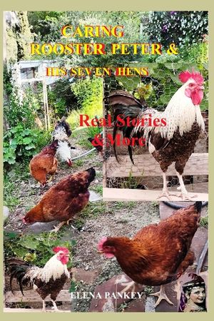 Carrying Rooster Peter & His 7 Hens.: Real Stories and More image number 0