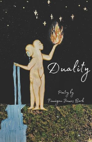 Duality image number 0