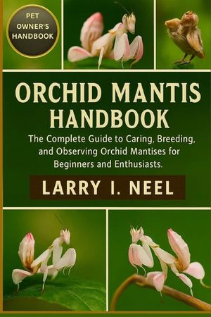 Orchid Mantis Handbook: The Complete Guide to Caring, Breeding, and Observing Orchid Mantises for Beginners and Enthusiasts. image number 0