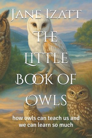 The Little Book of Owls: how owls can teach us and we can learn so much image number 0