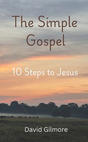 The Simple Gospel: 10 Step to Jesus image number 0