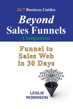 Beyond Sales Funnels - Companion: Sales Funnel to Sales Web in 30 Days image number 0