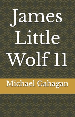 James Little Wolf 11 image number 0
