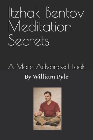 Itzhak Bentov Meditation Secrets: A More Advanced Look image number 0