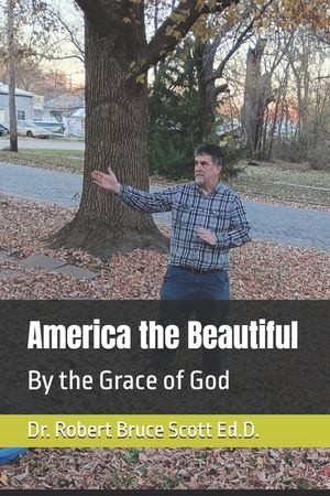 America the Beautiful: By the Grace of God image number 0