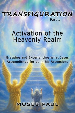 Transfiguration: Activation of the Heavenly Realm image number 0