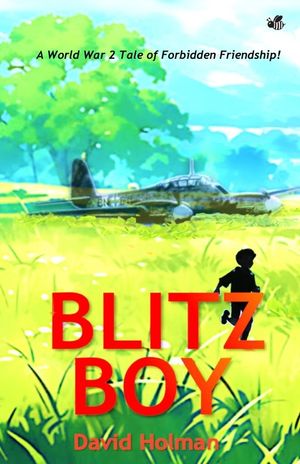 Blitz Boy image number 0