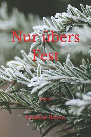 Nur &uuml;bers Fest: Roman image number 0