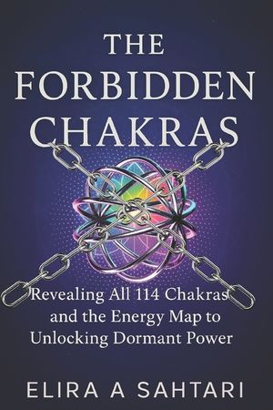 The Forbidden Chakras: Revealing ALL 114 Chakras and The Energy Map to Unlocking Dormant POWER image number 0
