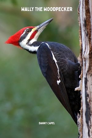 Wally the Woodpecker image number 0