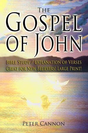 The Gospel of John Bible Study image number 0