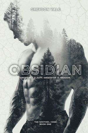 Obsidian: A Dark MM Romance image number 0