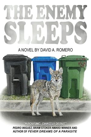 The Enemy Sleeps image number 0