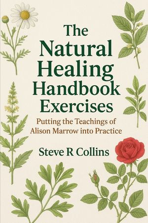 The Natural Healing Handbook Exercises: Putting the teachings of Alison Marrow into Practice image number 0