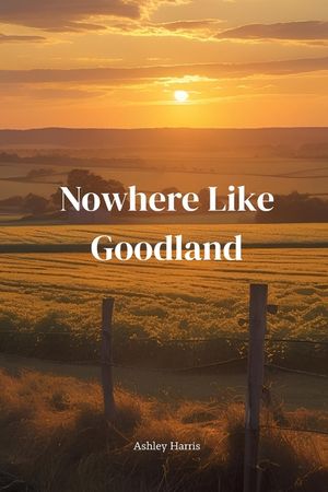 Nowhere Like Goodland image number 0
