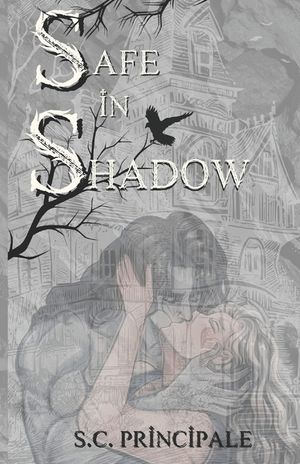 Safe in Shadow image number 0