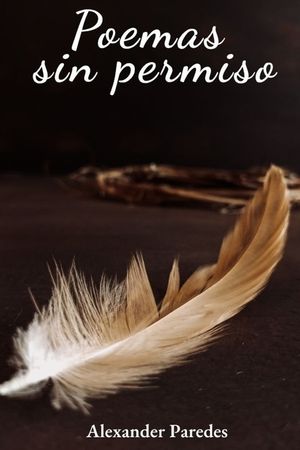 Poemas sin permiso: Una memoria &iacute;ntima en versos sobre amor, p&eacute;rdida y renacimiento. image number 0