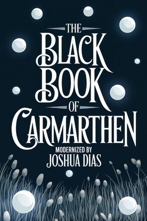 The Black Book of Carmarthen: Ancient Welsh Poems, Arthurian Legends, and Celtic Mythology from Medieval Wales (English Modernized Version) image number 0