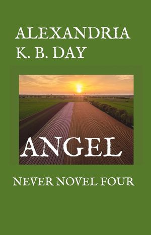 Angel: Never Novel Four: image number 0