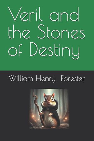 Veril and the Stones of Destiny image number 0
