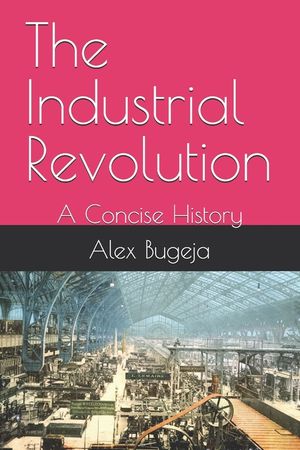 The Industrial Revolution: A Concise History image number 0