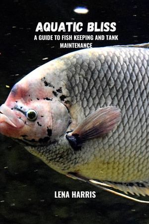 Aquatic bliss: A guide to fish keeping and tank maintenance image number 0