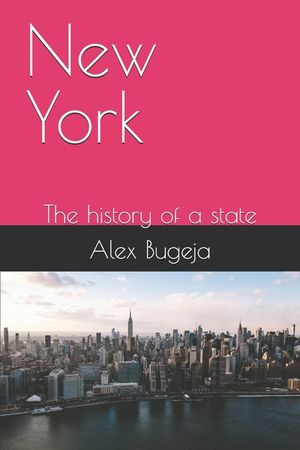 New York: The history of a state image number 0