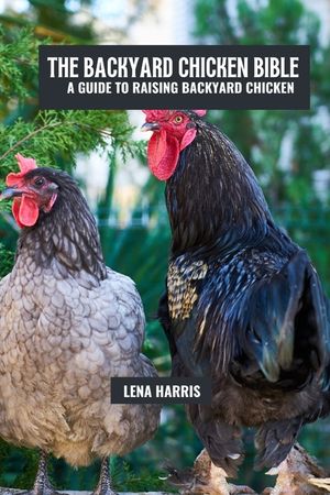 The backyard chicken bible: A guide to raising backyard chicken image number 0