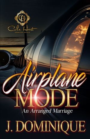 Airplane Mode: An Arranged Marriage image number 0