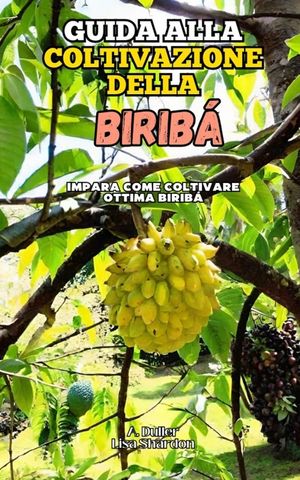 Guida alla Coltivazione della Birib&aacute;: Impara come coltivare ottima Birib&aacute; image number 0