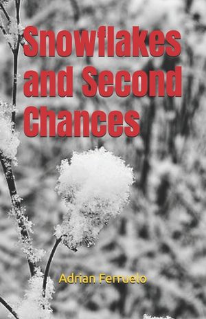 Snowflakes and Second Chances image number 0
