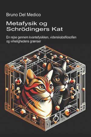 Metafysik og Schr&ouml;dingers kat: En rejse gennem kvantefysikken, videnskabsfilosofien og virkelighedens gr&aelig;nser. image number 0