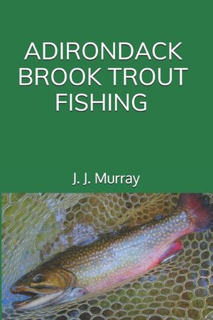 Adirondack Brook Trout Fishing image number 0