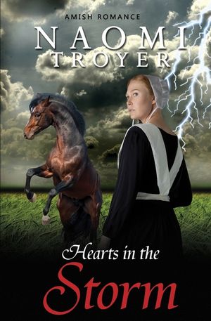 Hearts in the Storm image number 0