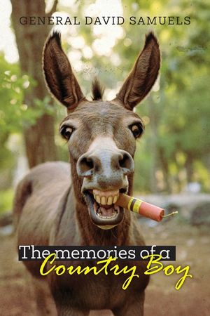 The Memories of a Country Boy image number 0