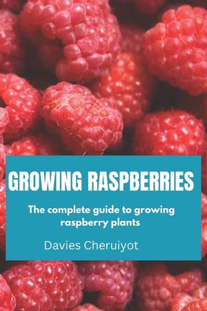 Growing Raspberries: The complete guide to growing raspberry plants image number 0