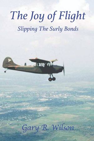 The Joy of Flight: Slipping the Surly Bonds image number 0