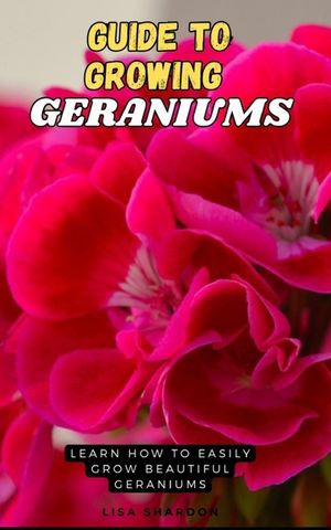 Guide to Growing Geraniums: Learn how to easily grow beautiful Geraniums image number 0