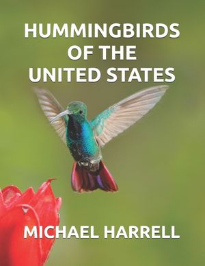 Hummingbirds of the United States image number 0