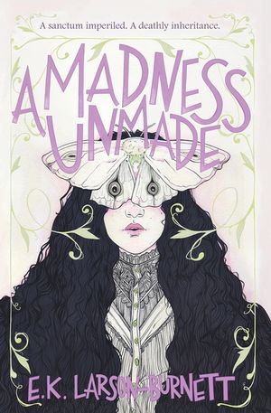 A Madness Unmade image number 0