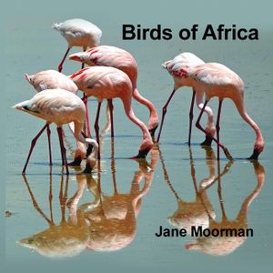 Birds of Africa image number 0